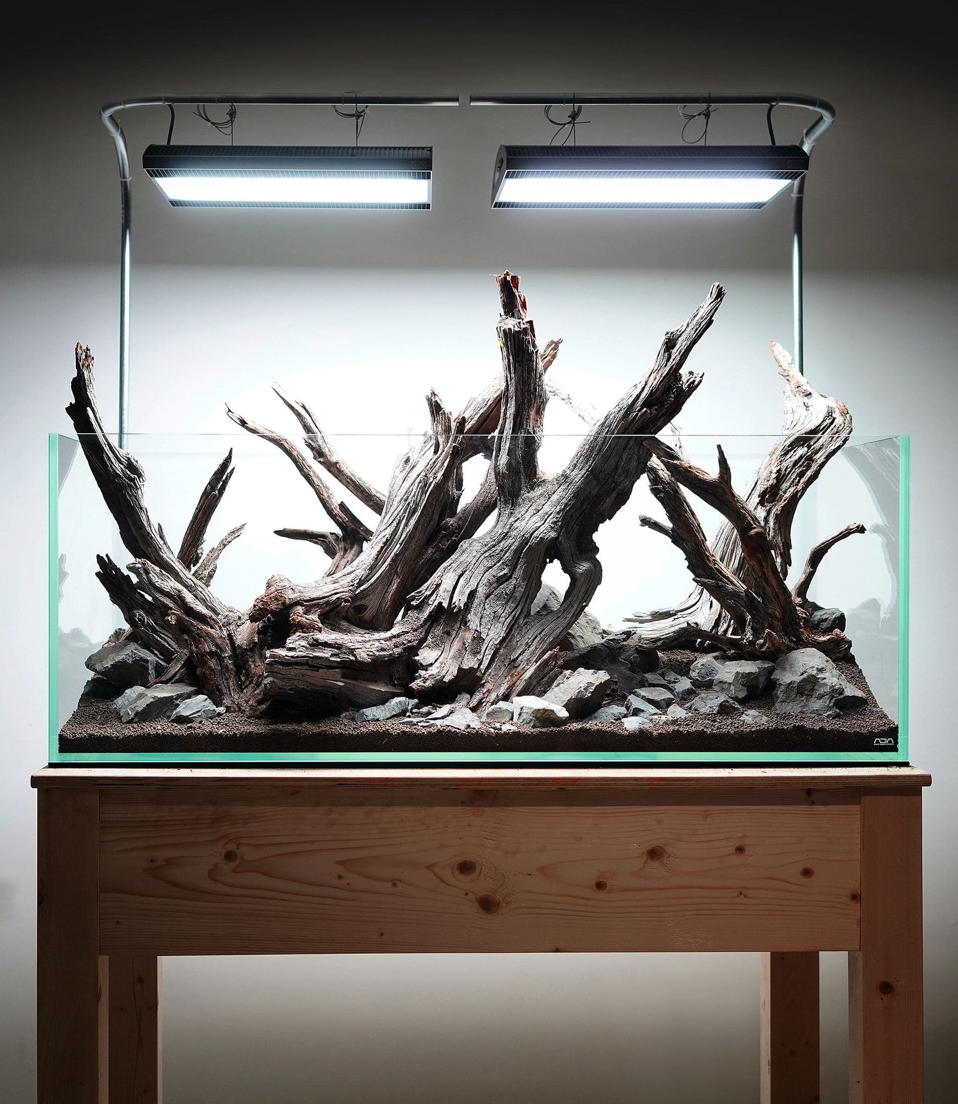 Aquarium Portfolio